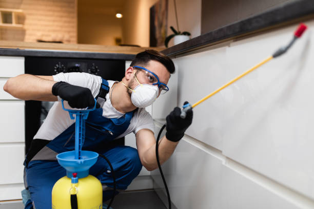 Best Emergency Pest Control  in Ingleside, TX