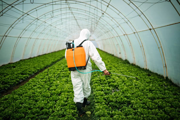 Pest Prevention Services in Ingleside, TX