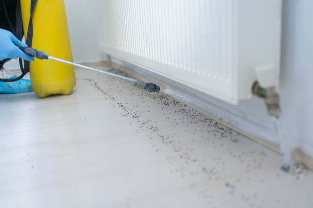Best Pest Removal Services  in Ingleside, TX