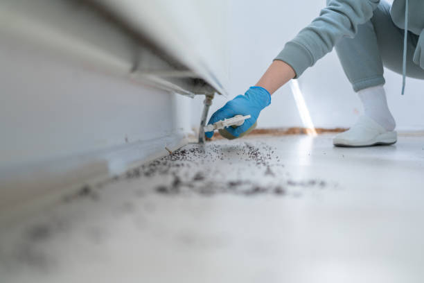Best Pest Prevention Services  in Ingleside, TX