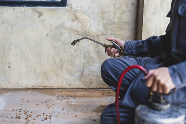 Pest Control Cost in Ingleside, TX